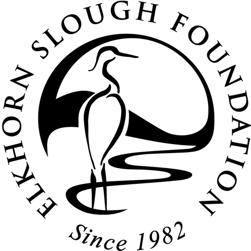 Elkhorn-Slough.logo.final